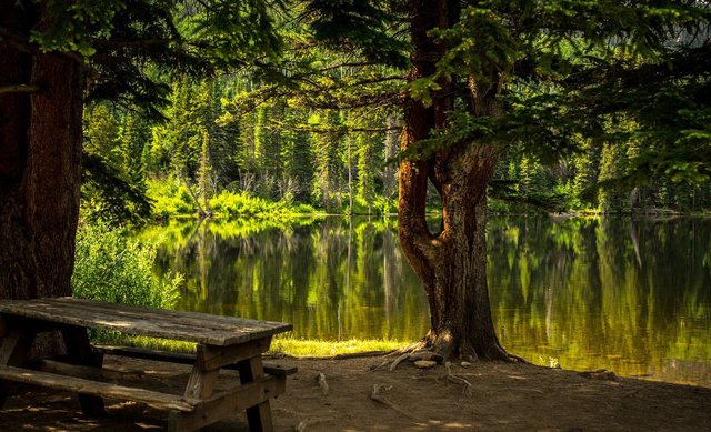 The forest lake scene was estimated as the most complex one among the images reviewed above.