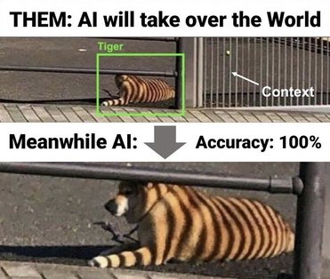Neural networks often make mistakes because they don’t consider the context